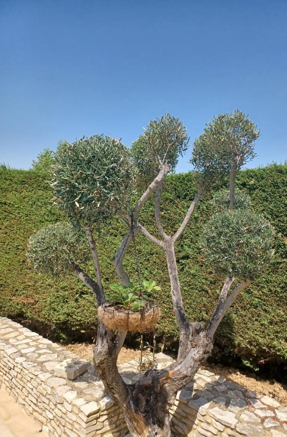בנולס-סור-סזה Lou Bagnou Mi-Clos מראה חיצוני תמונה